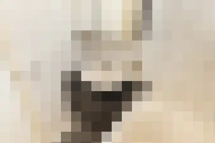 Lisweg 321 Oostzaan thumbnail 35
