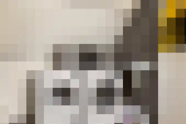 Lisweg 321 Oostzaan thumbnail 37