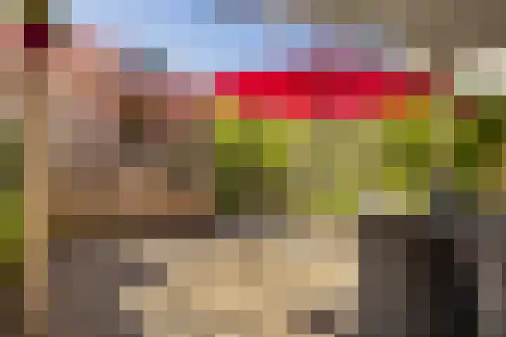 Lisweg 321 Oostzaan thumbnail 41