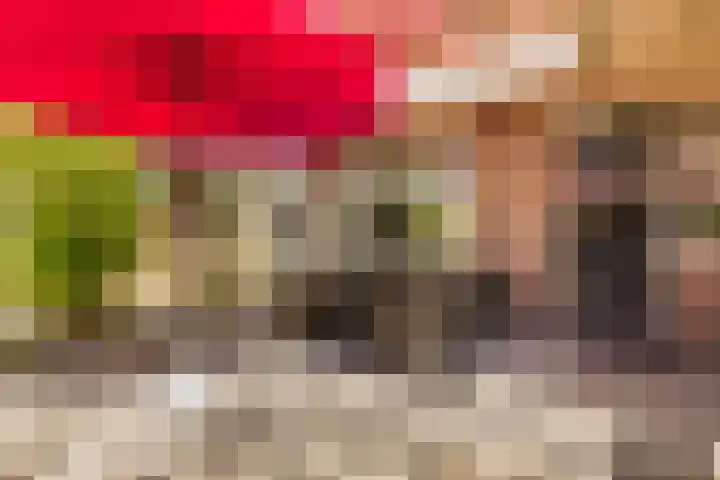 Lisweg 321 Oostzaan thumbnail 42