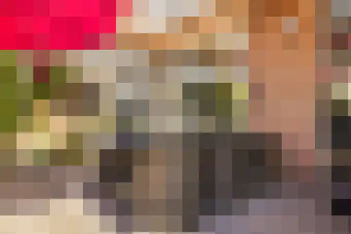 Lisweg 321 Oostzaan thumbnail 43