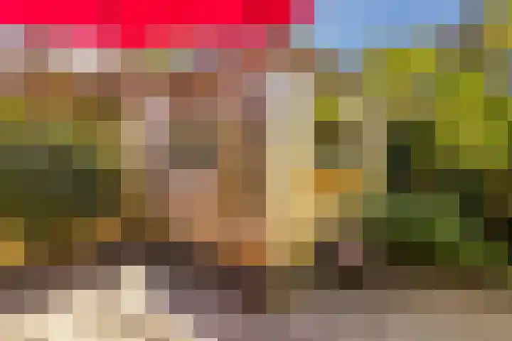 Lisweg 321 Oostzaan thumbnail 44