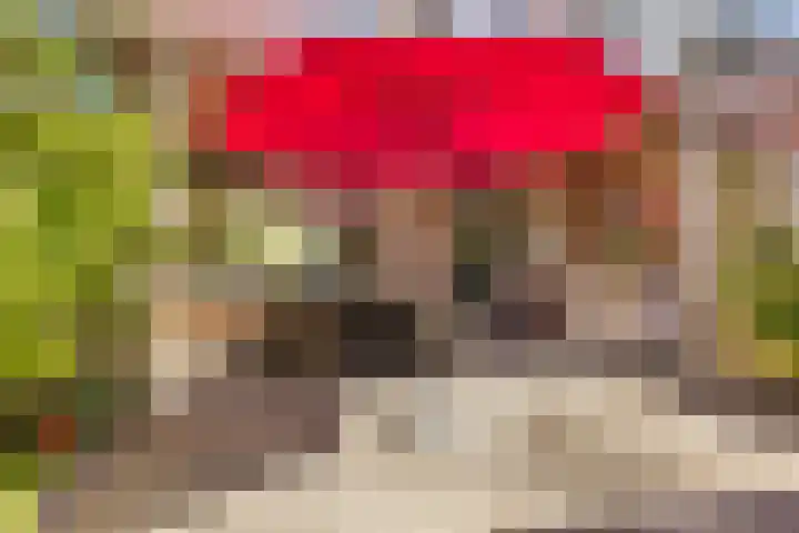 Lisweg 321 Oostzaan thumbnail 45