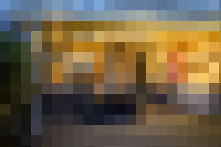 Lisweg 321 Oostzaan thumbnail 46