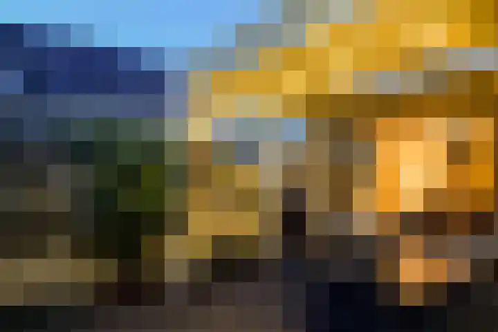 Lisweg 321 Oostzaan thumbnail 48