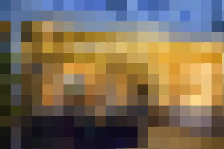 Lisweg 321 Oostzaan thumbnail 49
