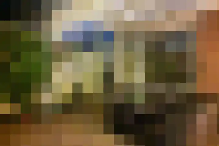 Lisweg 321 Oostzaan thumbnail 51