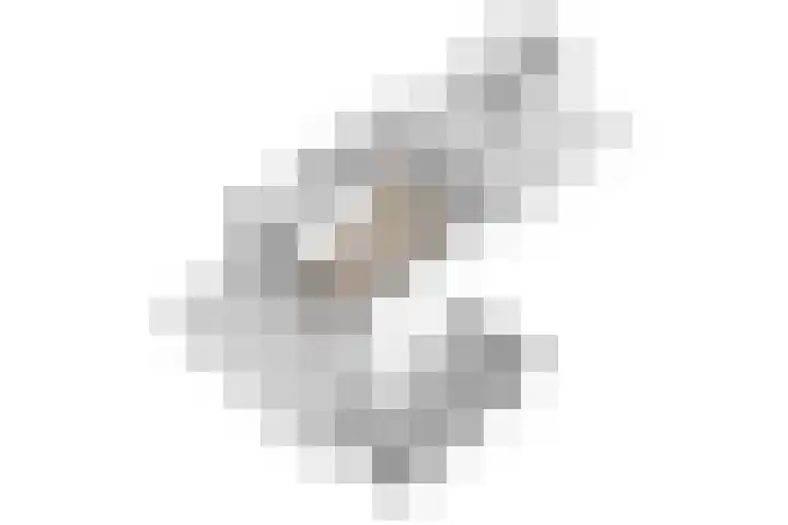 Lisweg 321 Oostzaan thumbnail 57