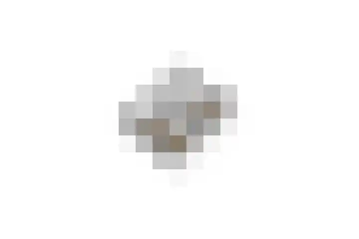 Lisweg 321 Oostzaan thumbnail 60