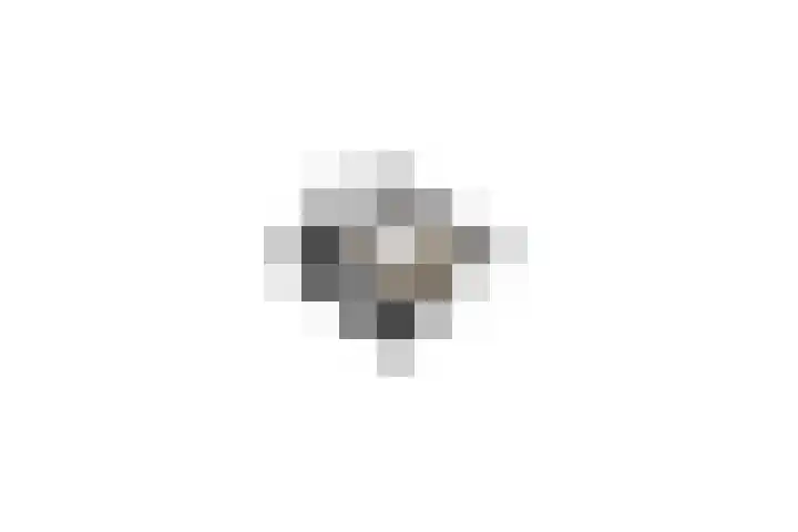 Lisweg 321 Oostzaan thumbnail 63