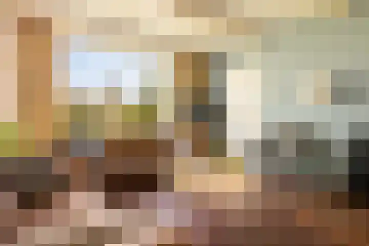 Lisweg 321 Oostzaan thumbnail 7