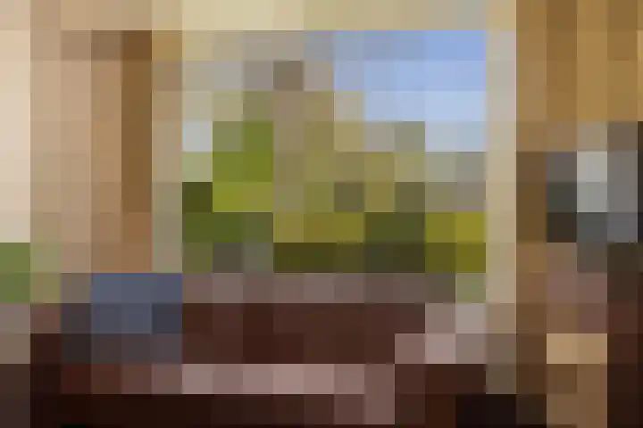 Lisweg 321 Oostzaan thumbnail 9