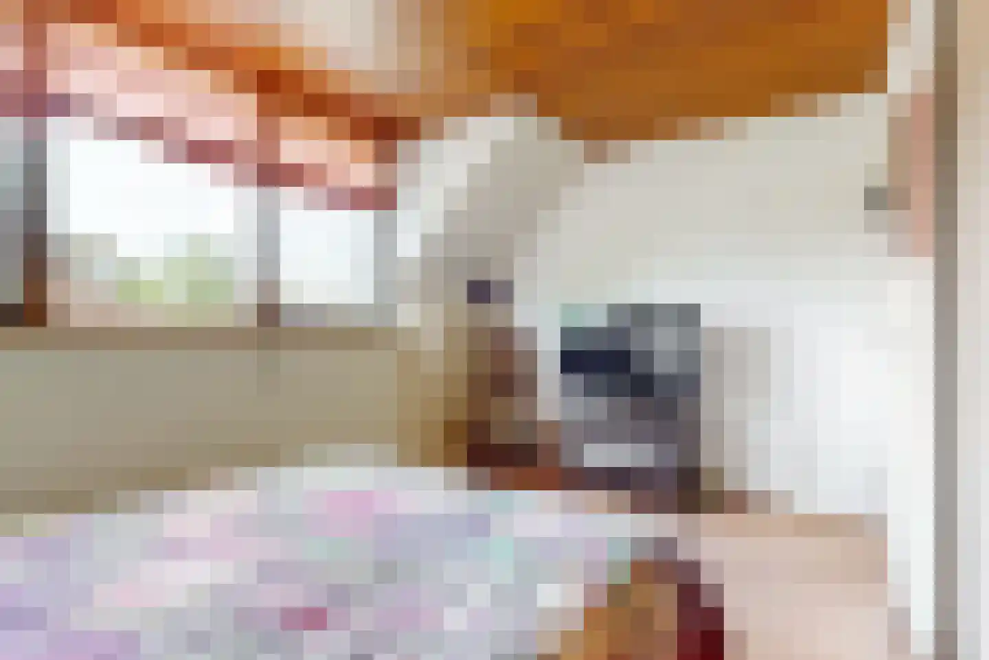 Lisweg 355 Oostzaan thumbnail 20