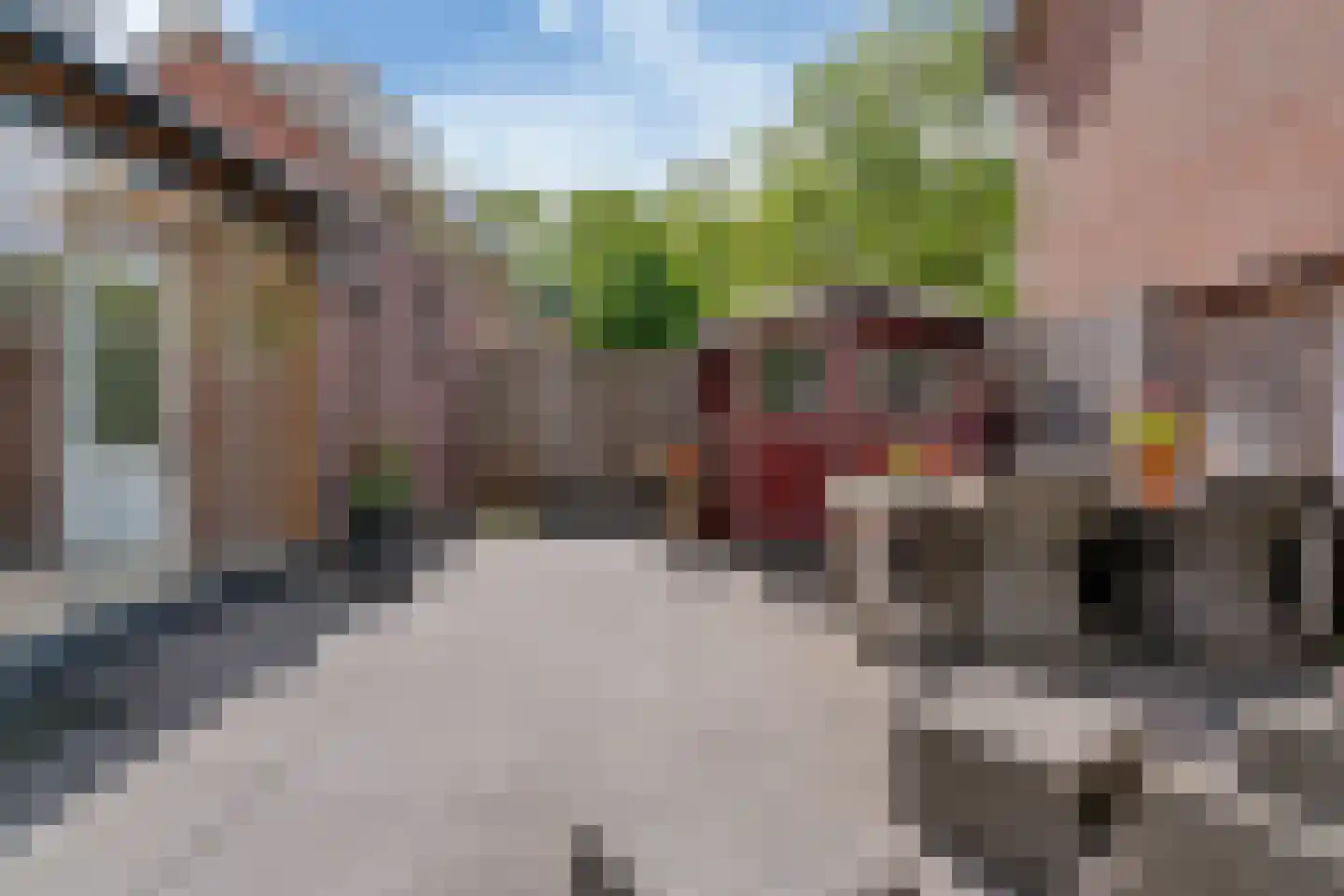 Lisweg 355 Oostzaan thumbnail 29