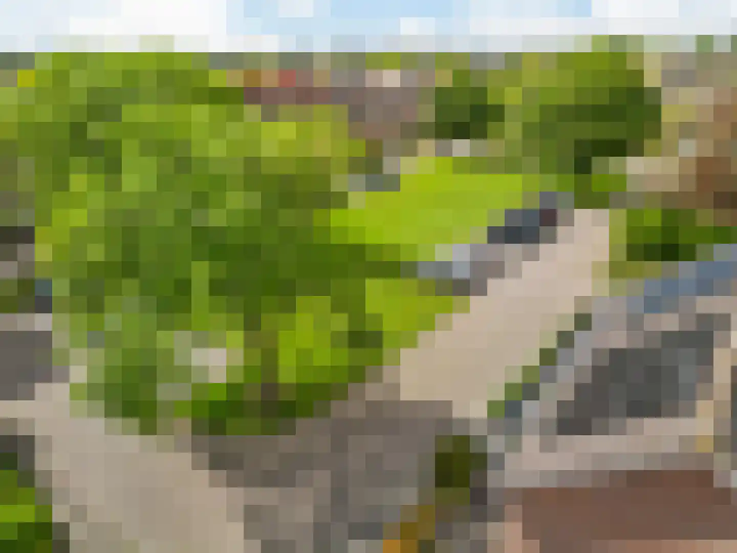 Lisweg 355 Oostzaan thumbnail 39