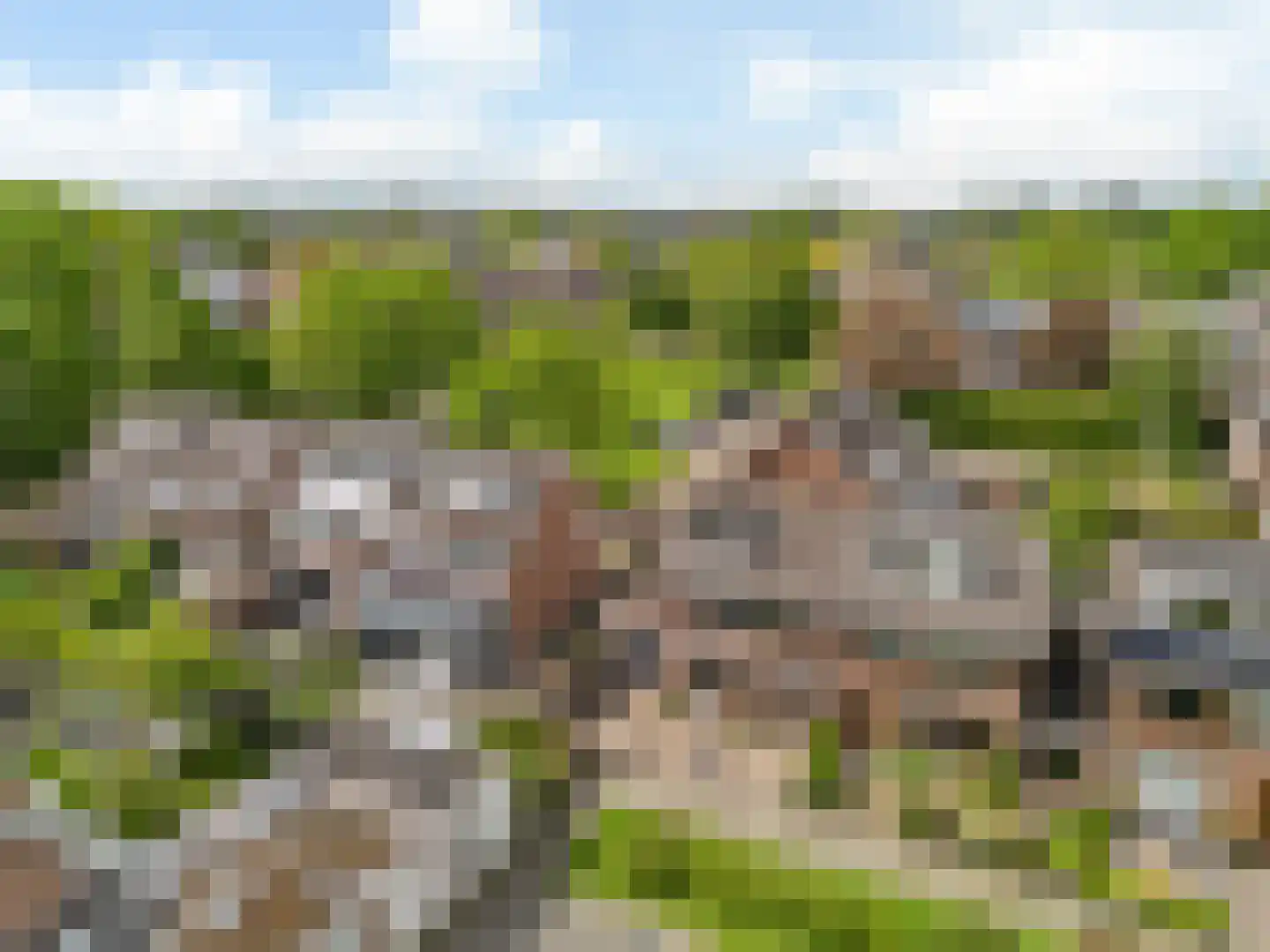 Lisweg 355 Oostzaan thumbnail 40