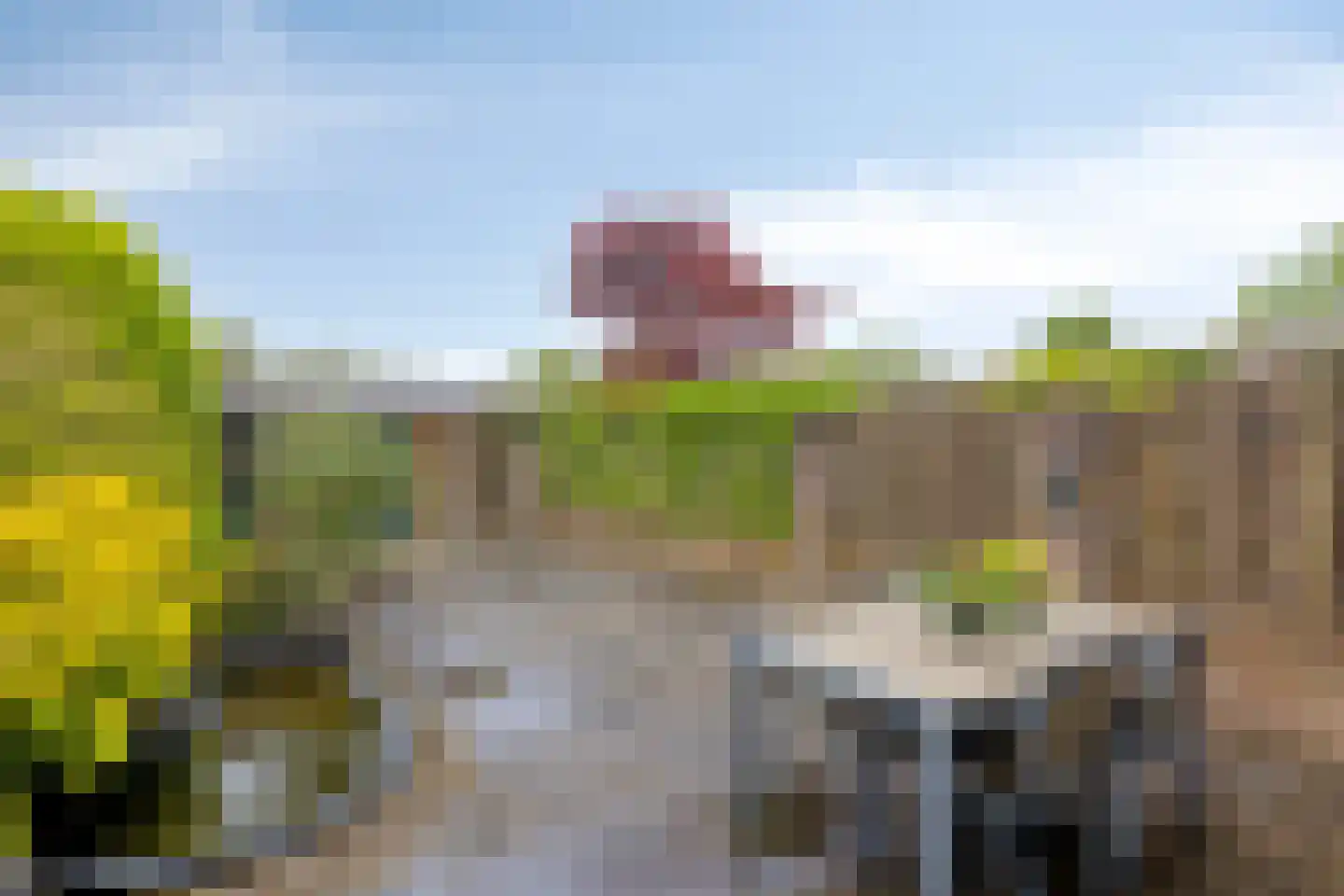 Lisztgaarde 117 Oss thumbnail 26