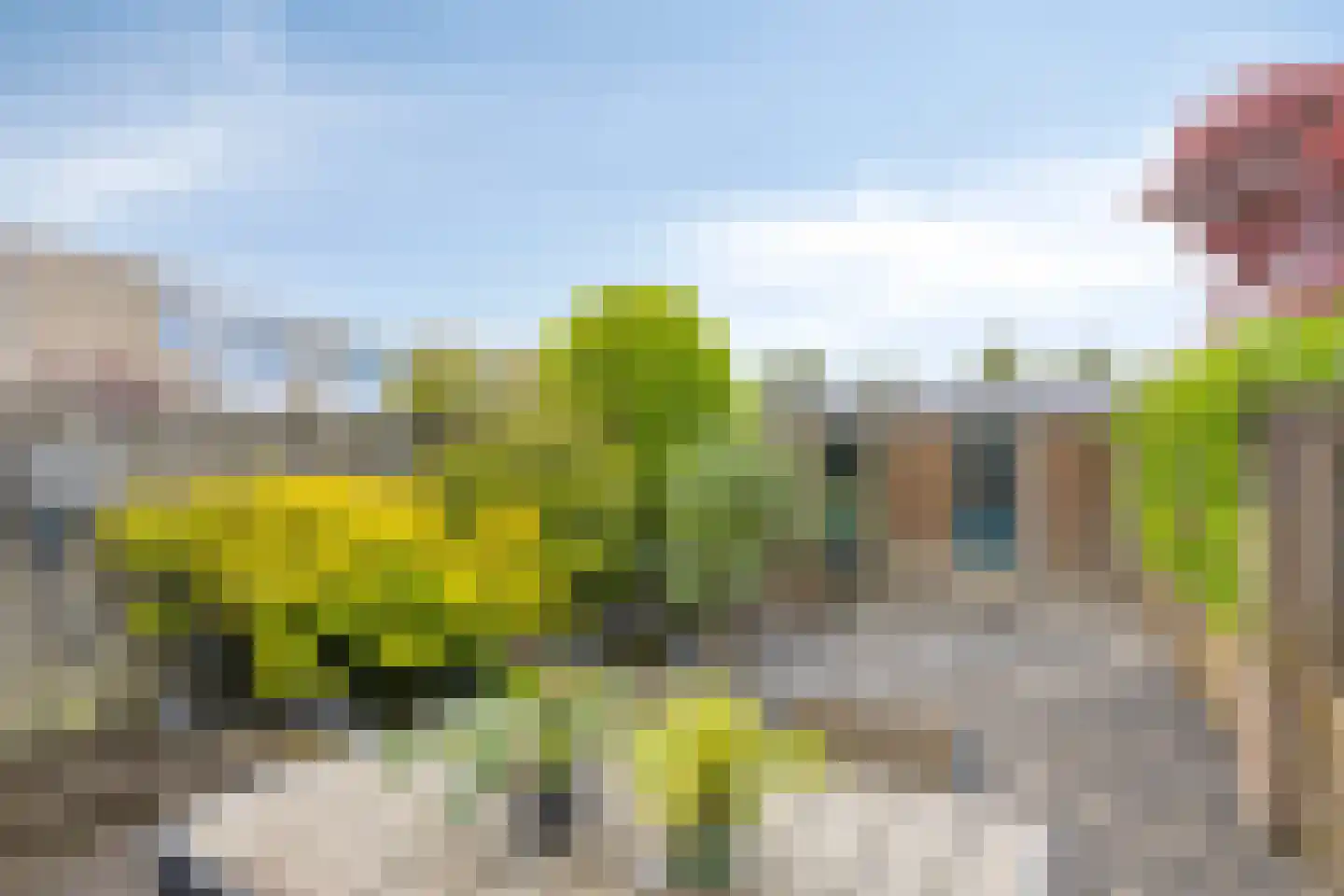 Lisztgaarde 117 Oss thumbnail 27