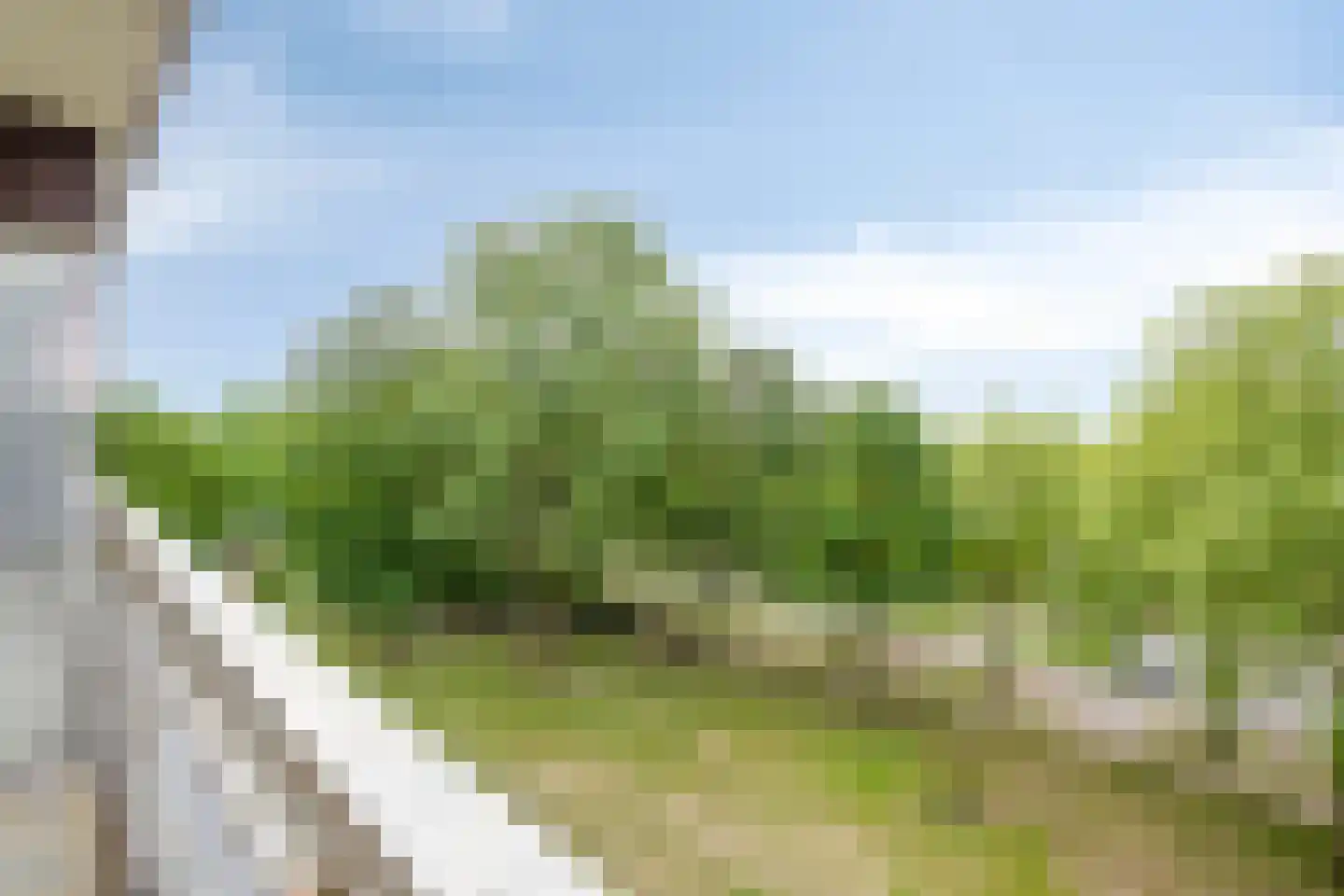 Lisztgaarde 132 Oss thumbnail 15