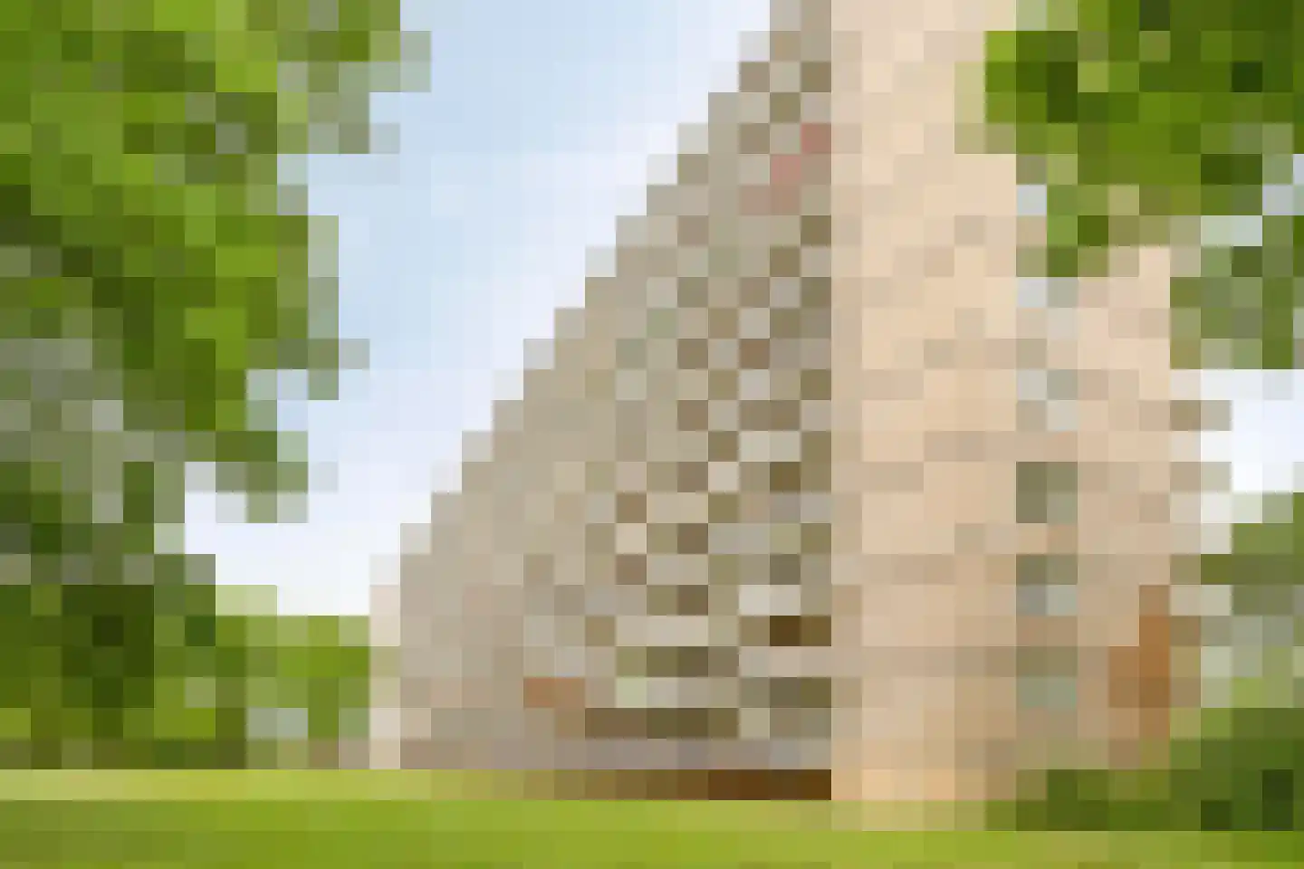 Lisztgaarde 132 Oss thumbnail 22