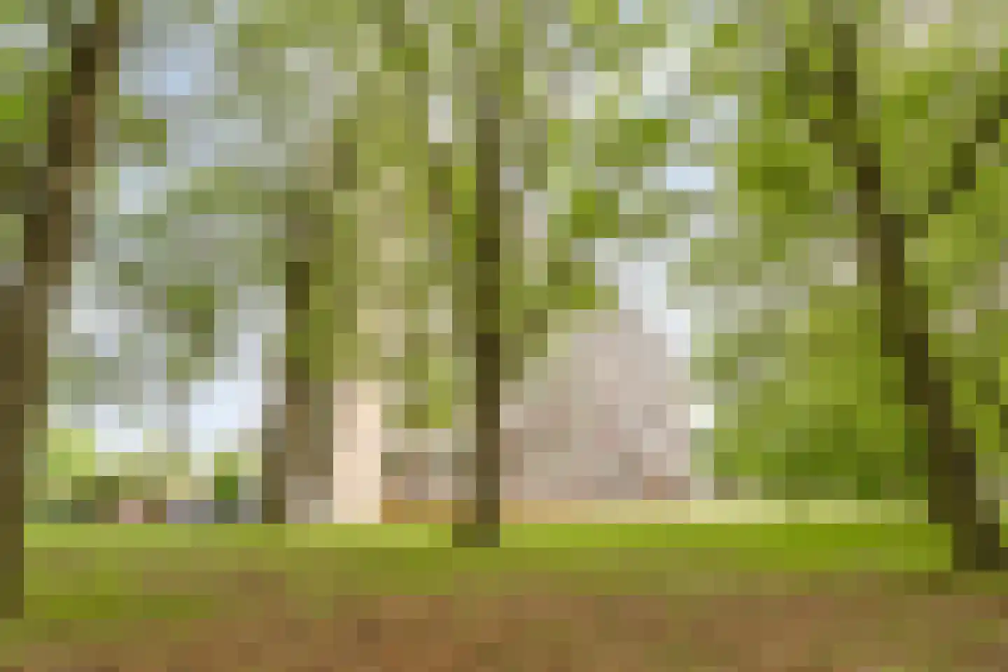 Lisztgaarde 132 Oss thumbnail 23