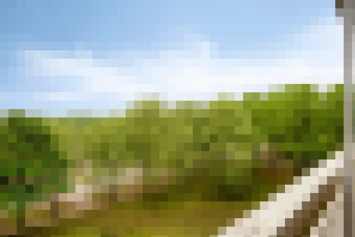 Lisztgaarde 150 Oss thumbnail 14