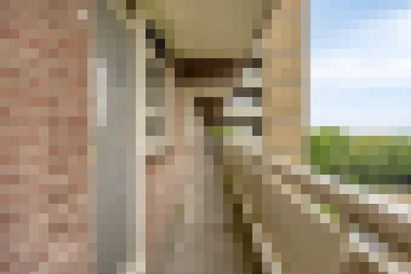 Lisztgaarde 150 Oss thumbnail 18