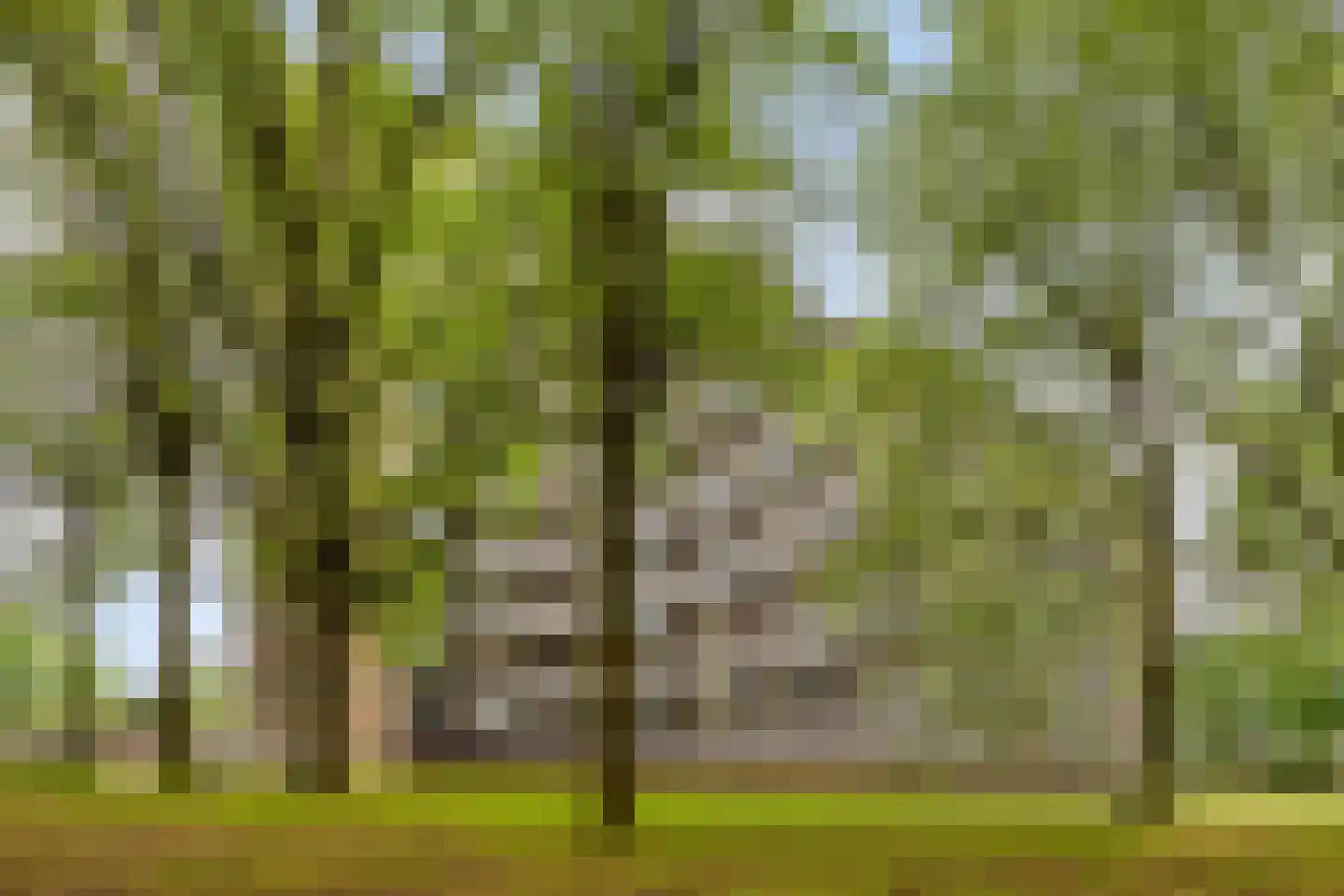 Lisztgaarde 150 Oss thumbnail 22