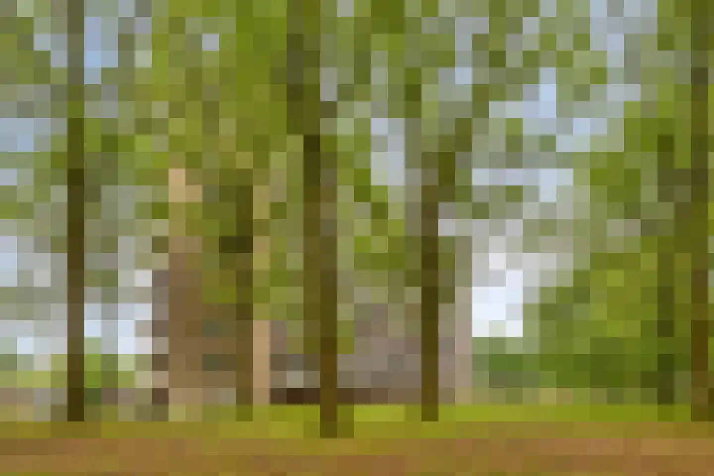 Lisztgaarde 150 Oss thumbnail 23