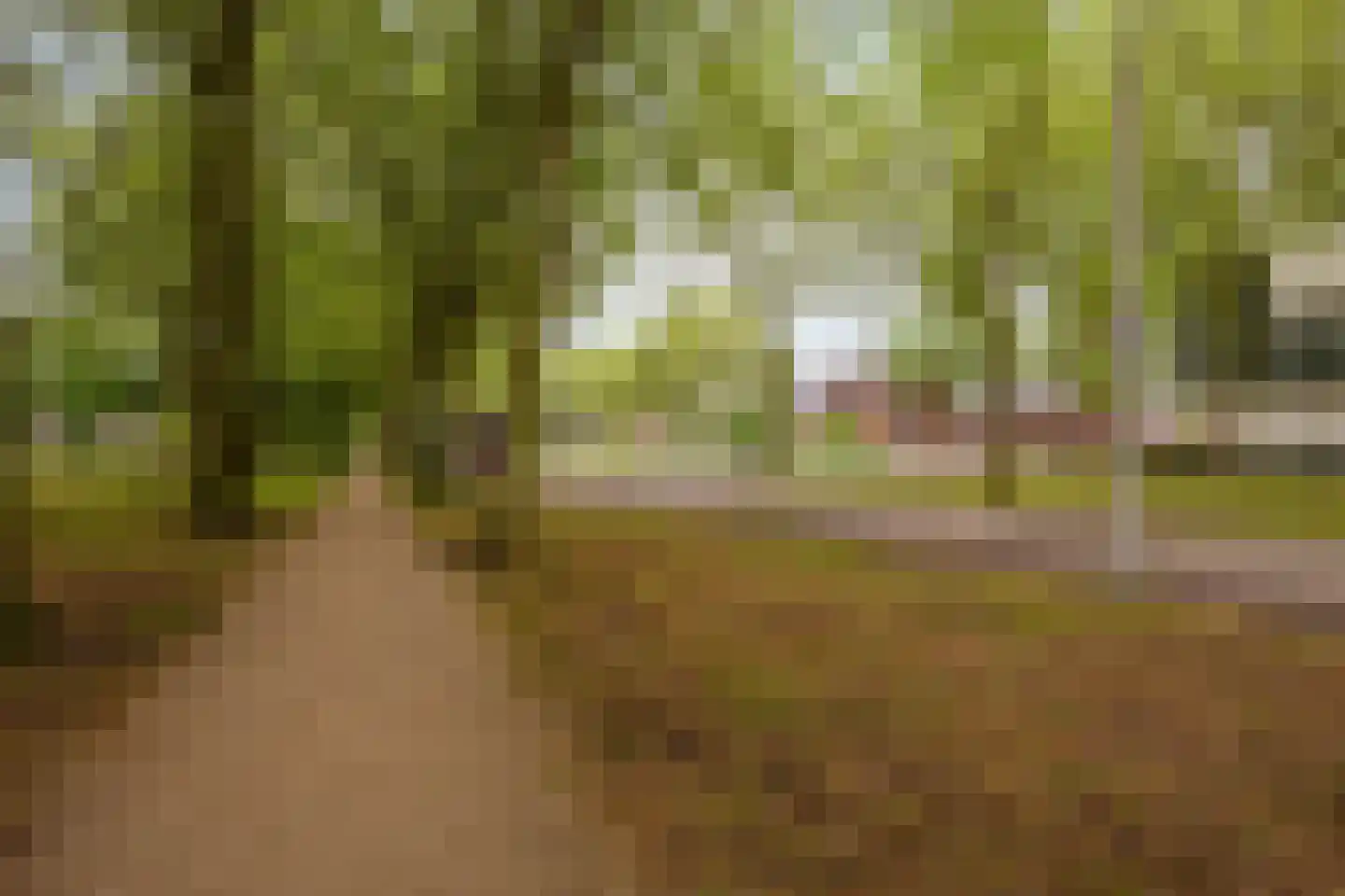 Lisztgaarde 150 Oss thumbnail 25