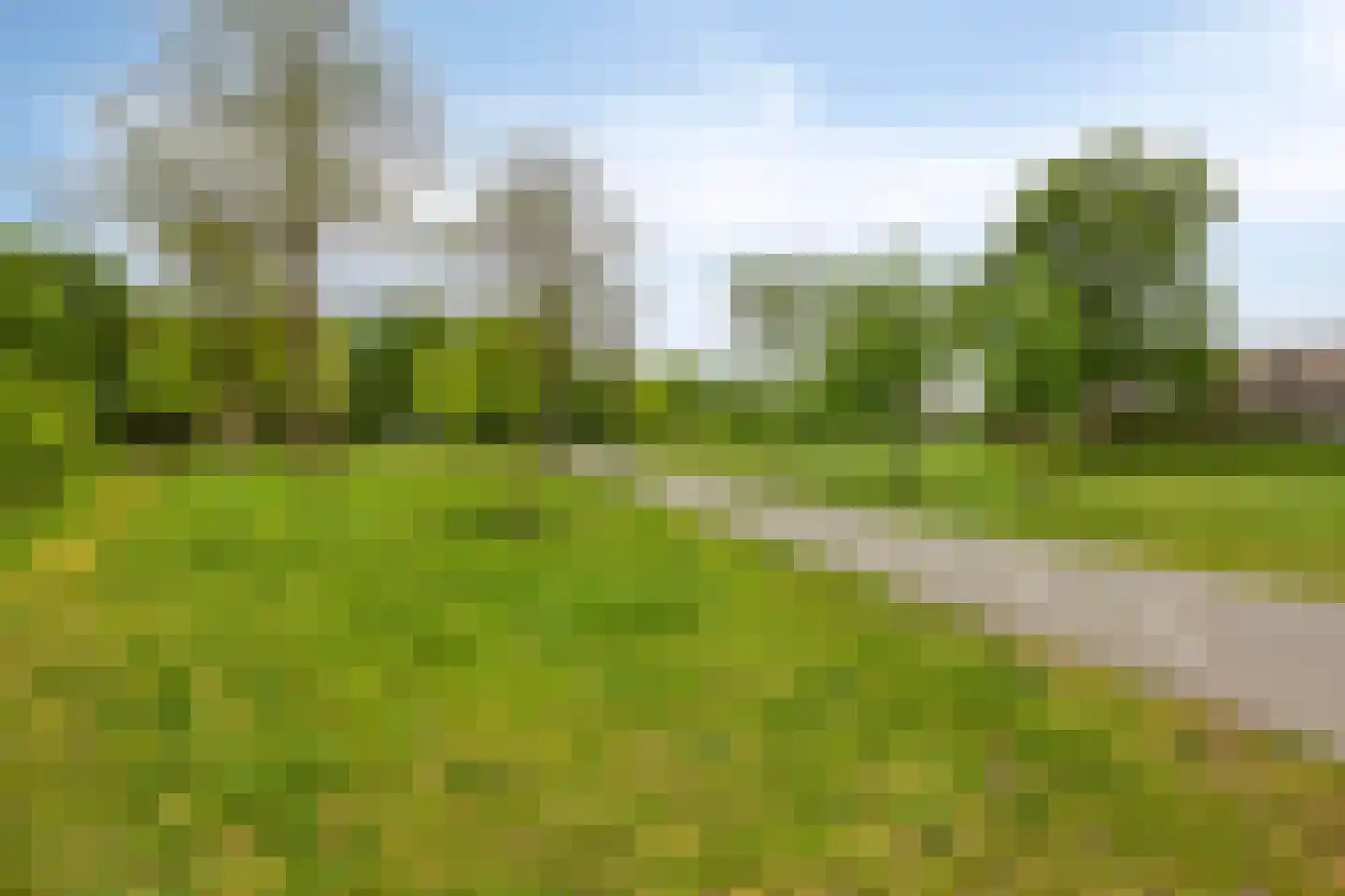 Lisztgaarde 150 Oss thumbnail 27