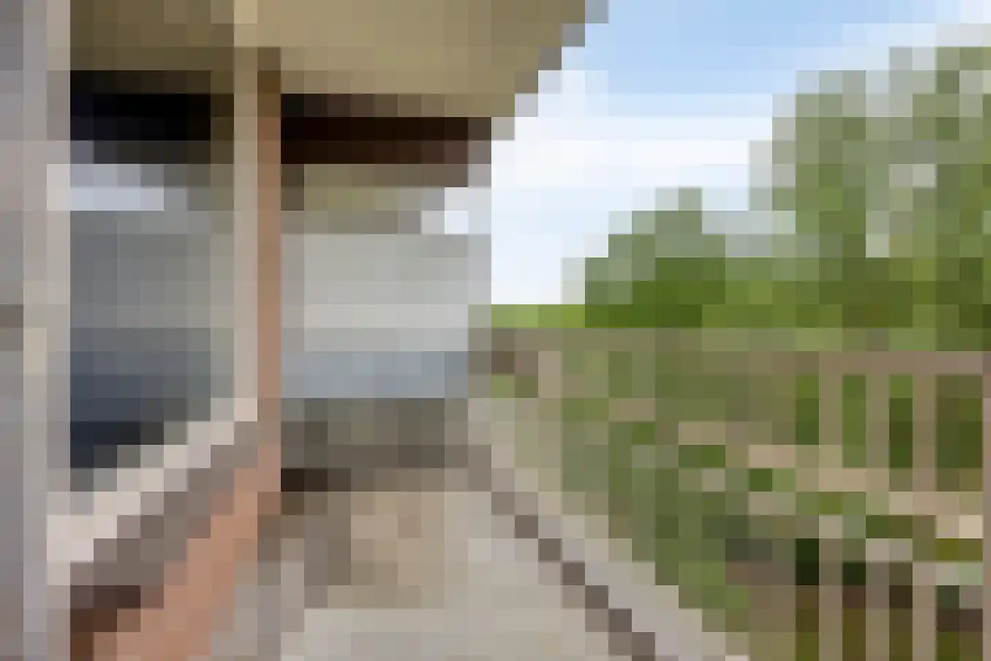 Lisztgaarde 150 Oss thumbnail 4