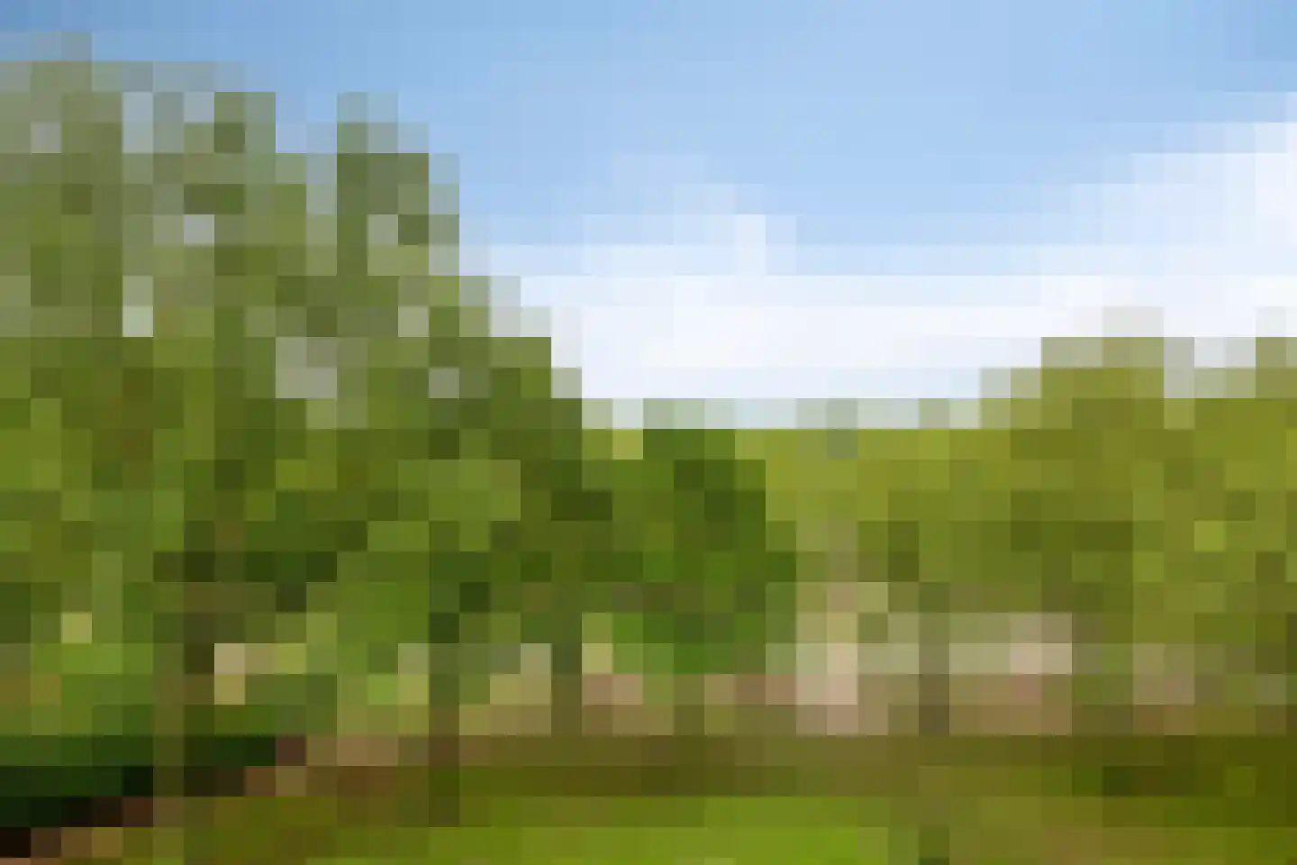 Lisztgaarde 150 Oss thumbnail 6