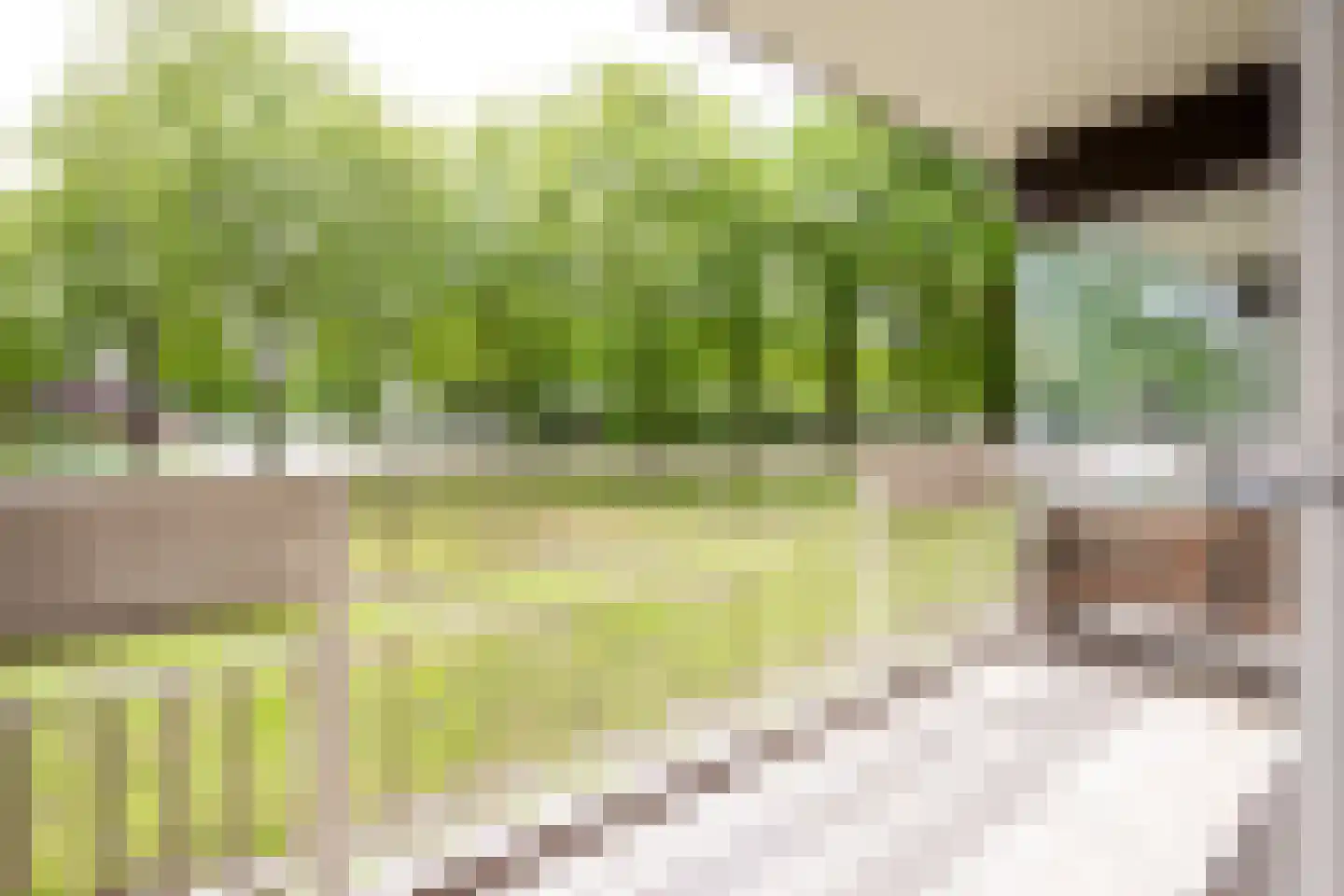 Lisztgaarde 20 Oss thumbnail 13