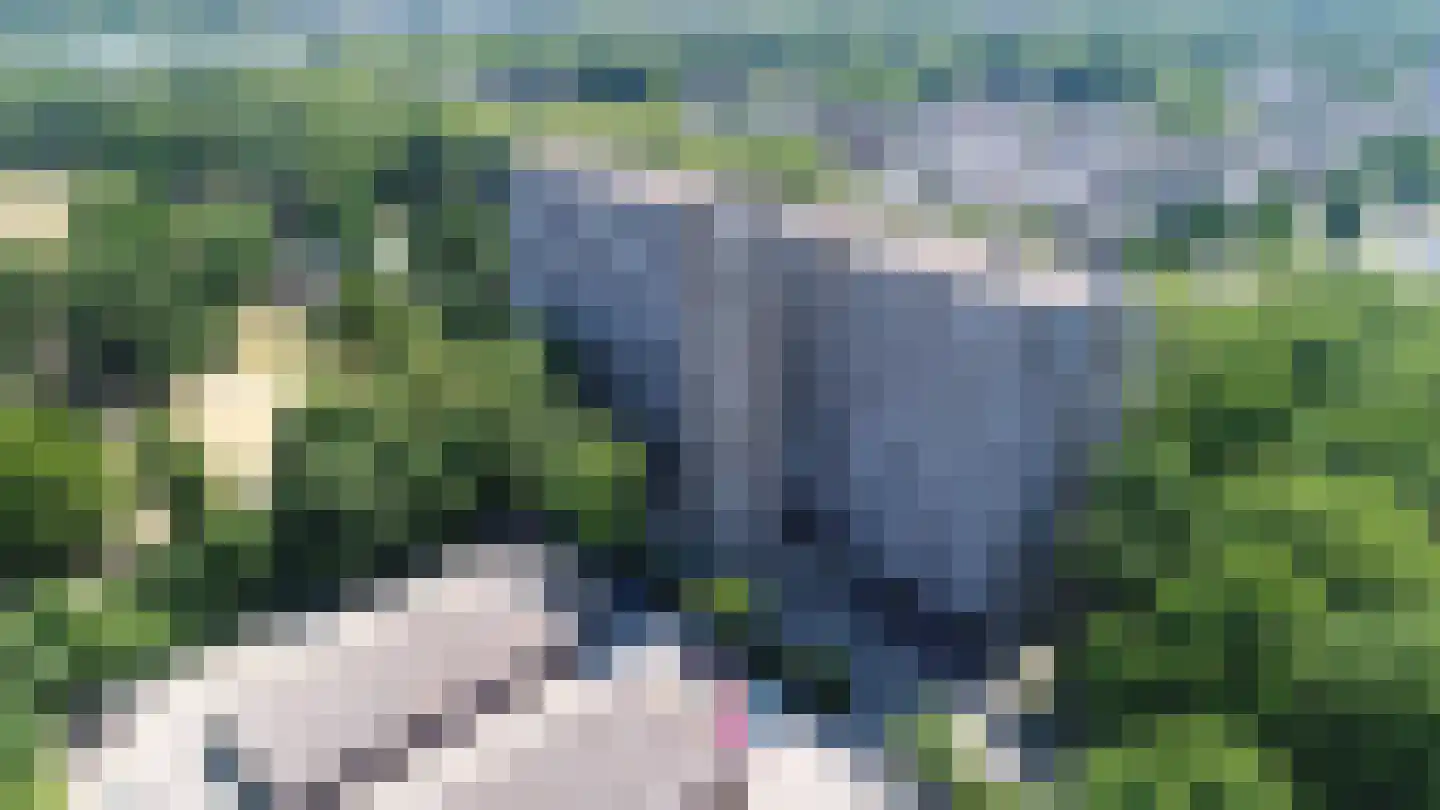 Lisztgaarde 20 Oss thumbnail 15