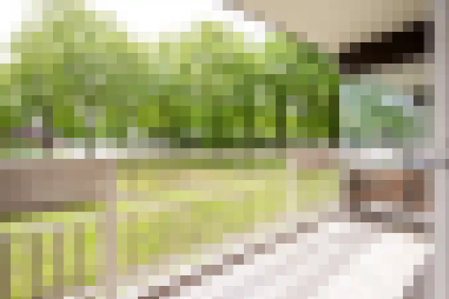 Lisztgaarde 20 Oss thumbnail 4