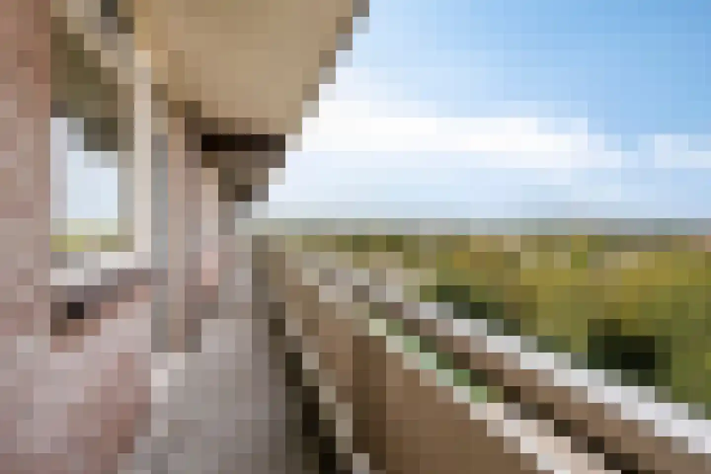 Lisztgaarde 248 Oss thumbnail 14