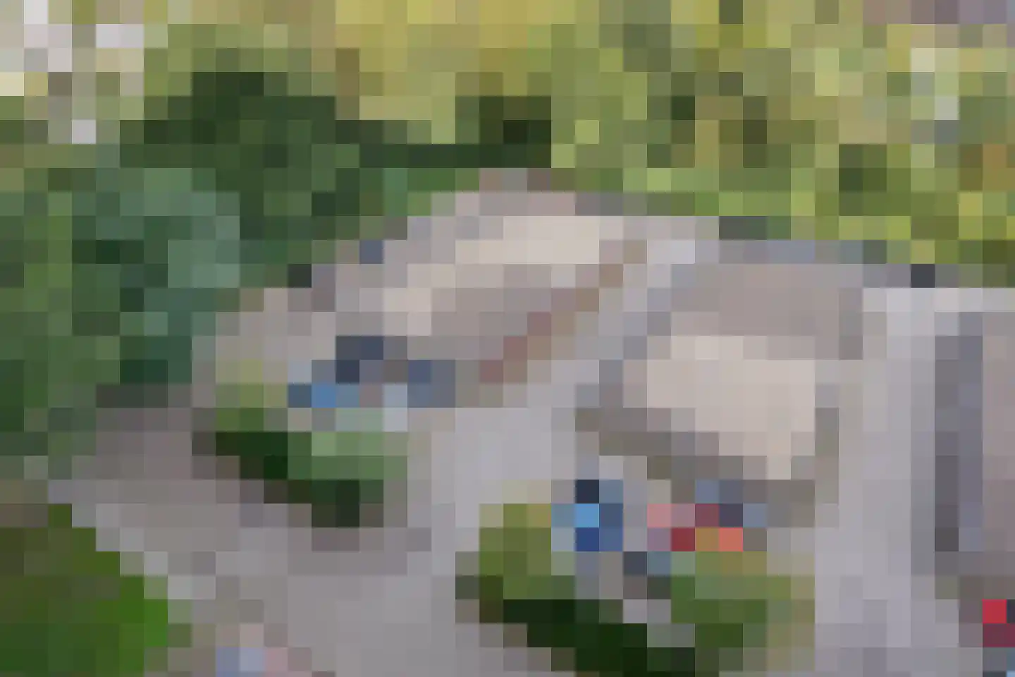 Lisztgaarde 248 Oss thumbnail 19