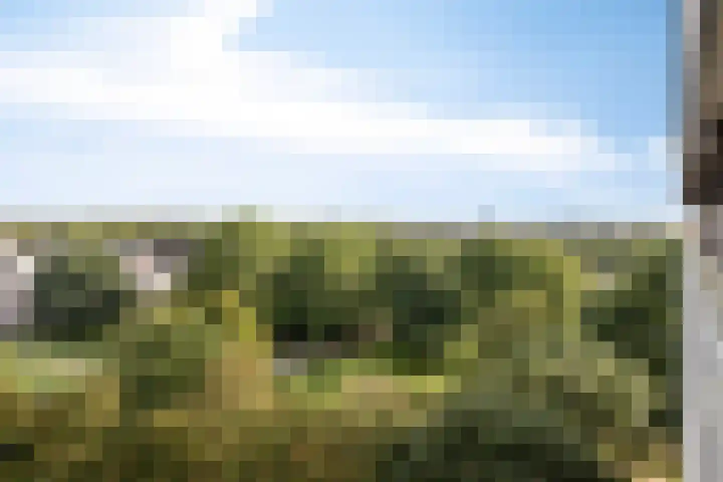 Lisztgaarde 248 Oss thumbnail 20