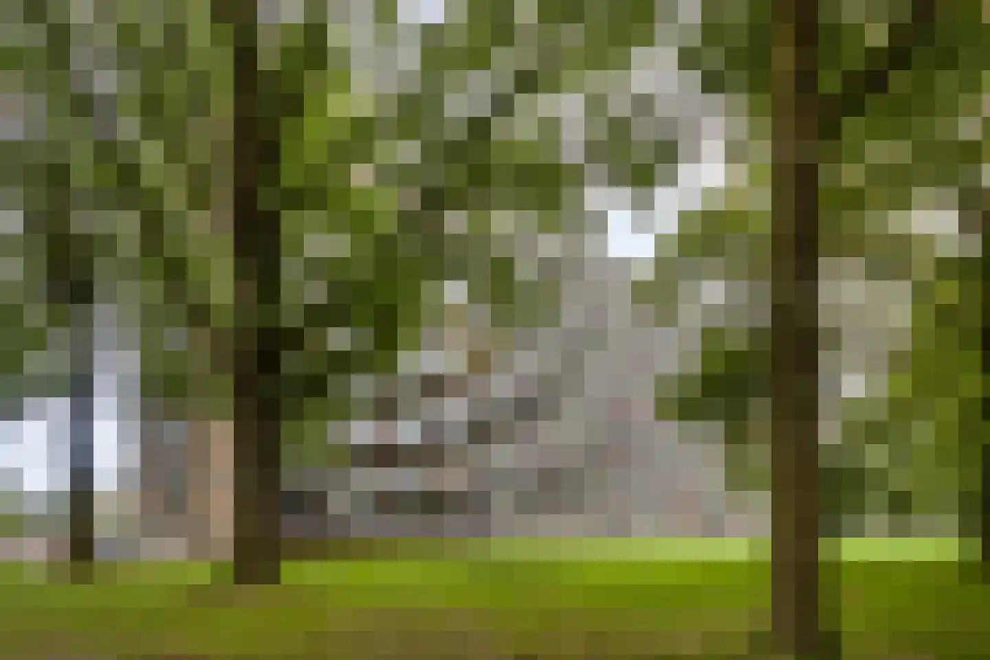 Lisztgaarde 248 Oss thumbnail 24