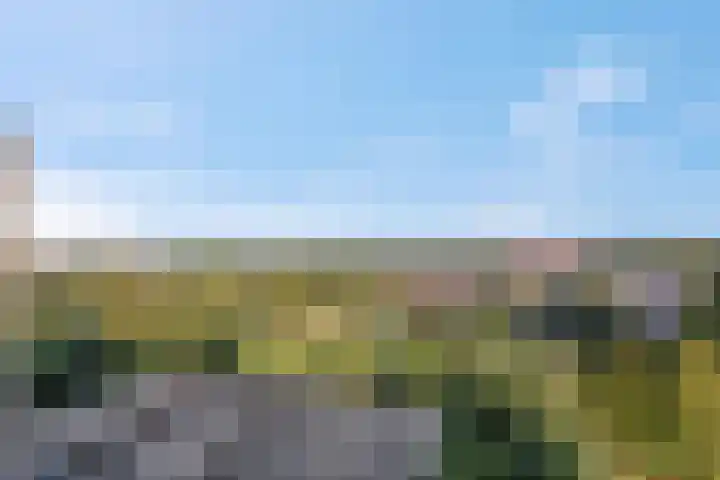 Lisztgaarde 262 Oss thumbnail 14