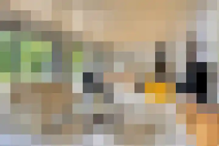 Lisztgaarde 292 Oss thumbnail 14