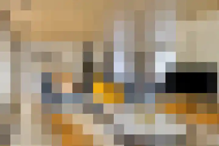 Lisztgaarde 292 Oss thumbnail 15