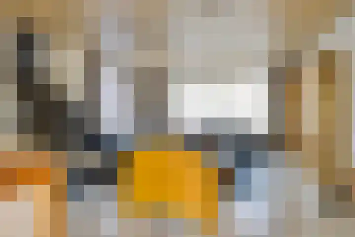 Lisztgaarde 292 Oss thumbnail 16