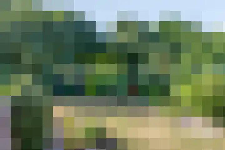 Lisztgaarde 292 Oss thumbnail 31
