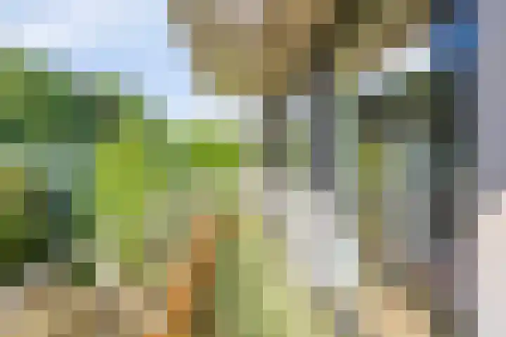 Lisztgaarde 292 Oss thumbnail 32