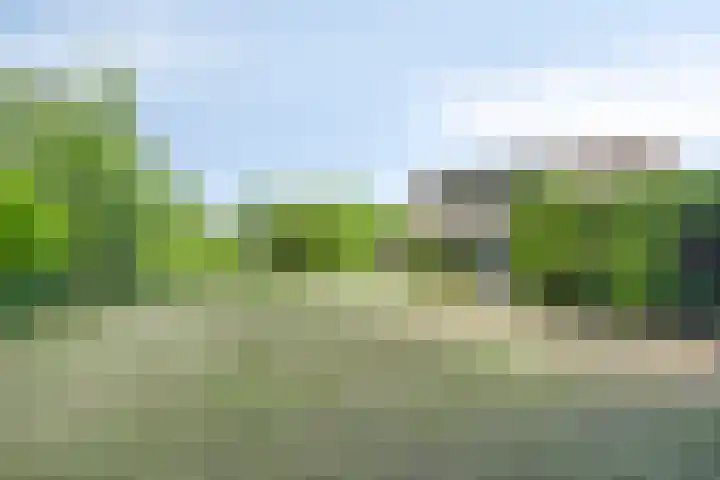 Lisztgaarde 292 Oss thumbnail 43
