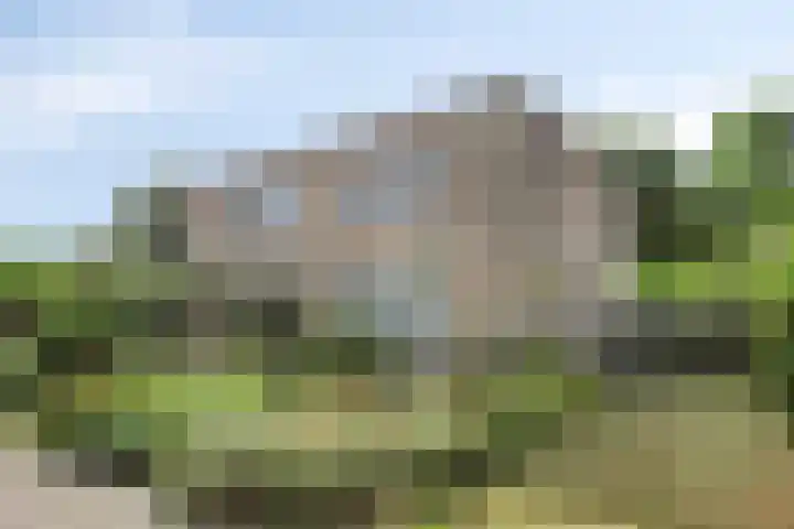 Lisztgaarde 292 Oss thumbnail 47