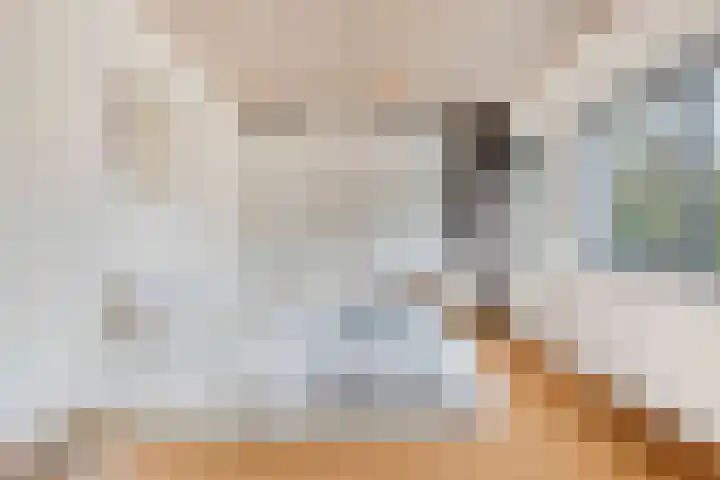Lisztgaarde 298 Oss thumbnail 39