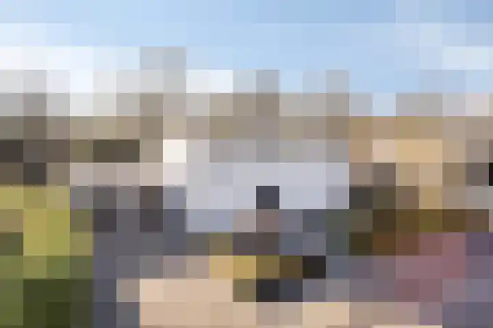 Lisztgaarde 298 Oss thumbnail 45